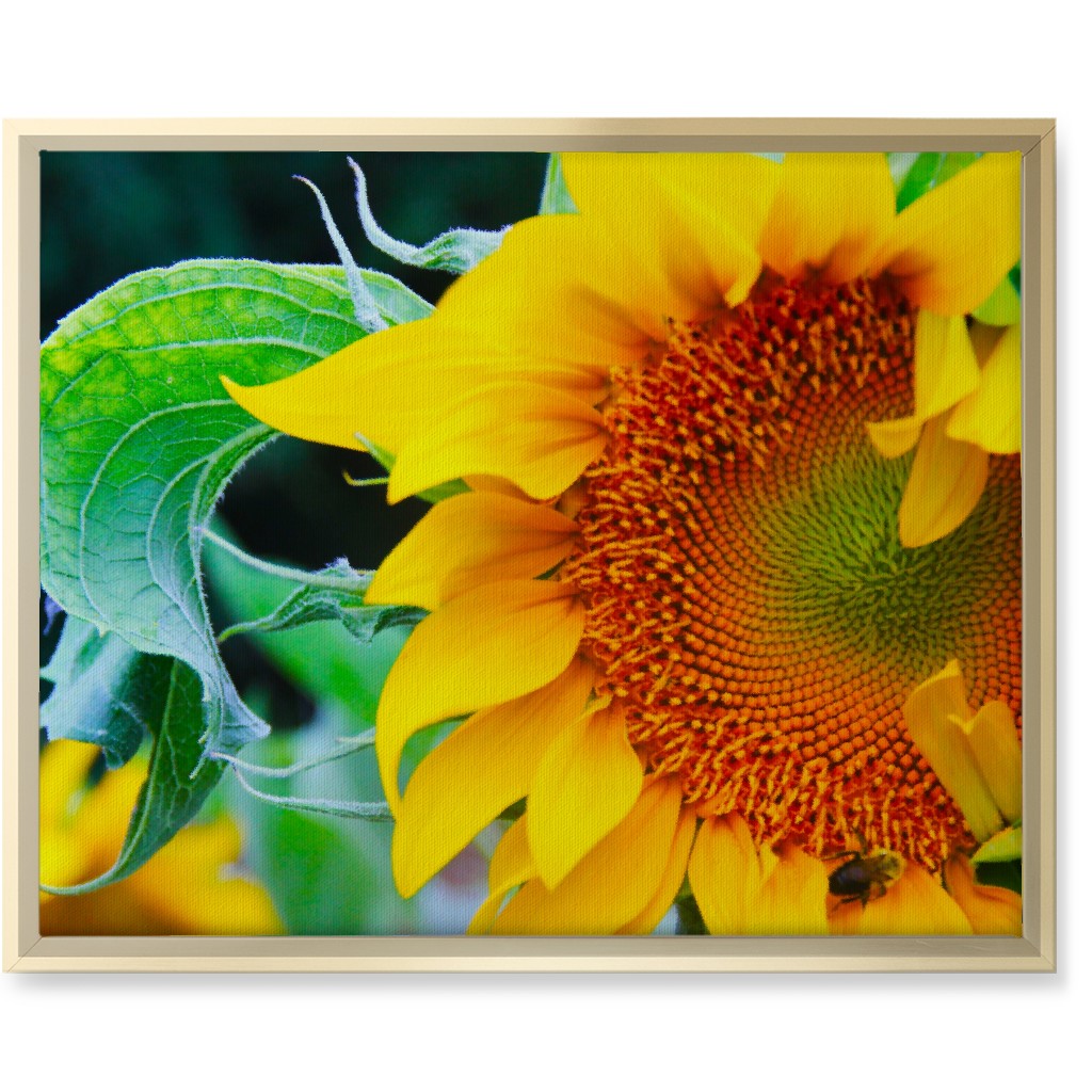 Big Sunflower - Yellow Wall Art, Gold, Single piece, Canvas, 16x20, Yellow