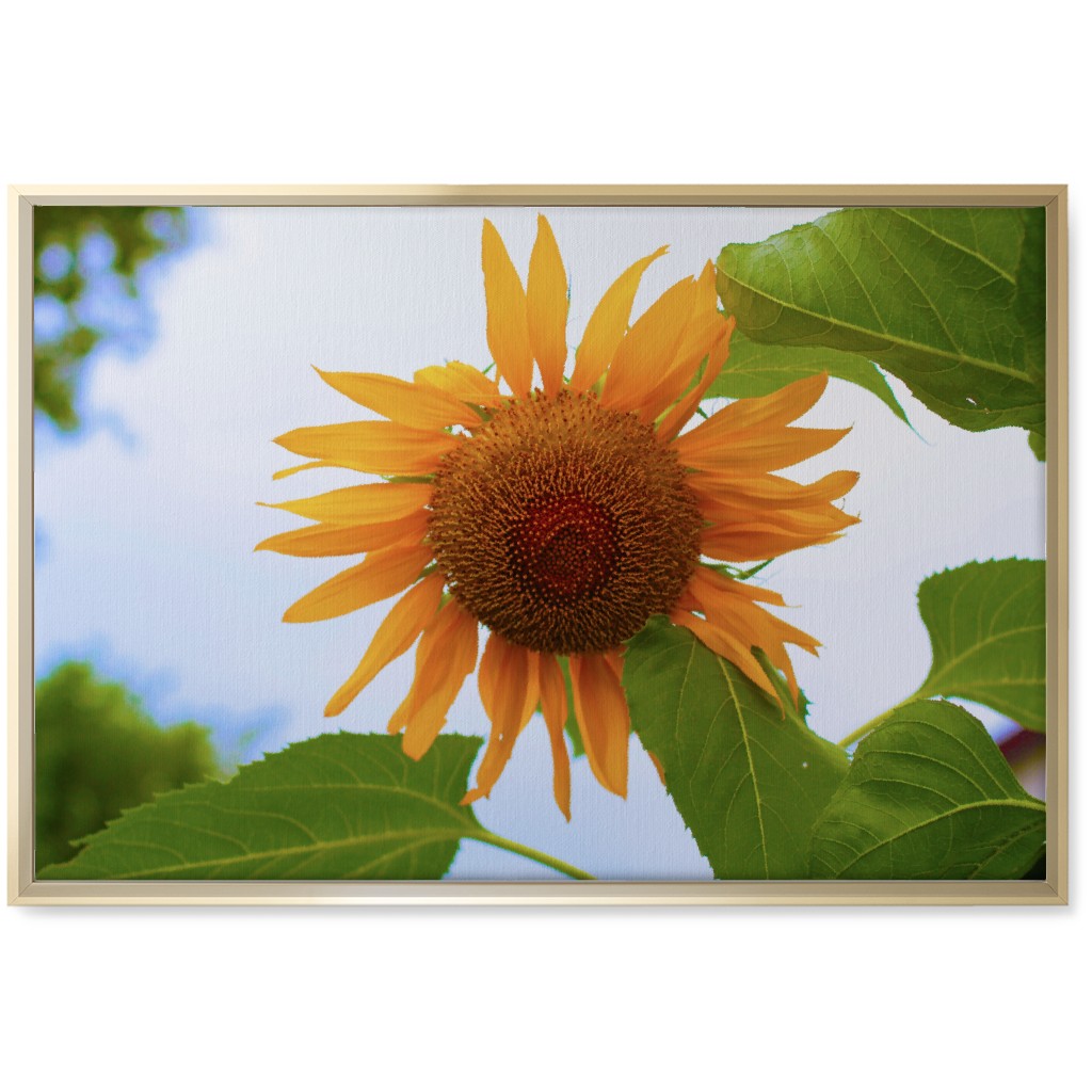 Sunny Sunflower - Yellow Wall Art, Gold, Single piece, Canvas, 20x30, Yellow