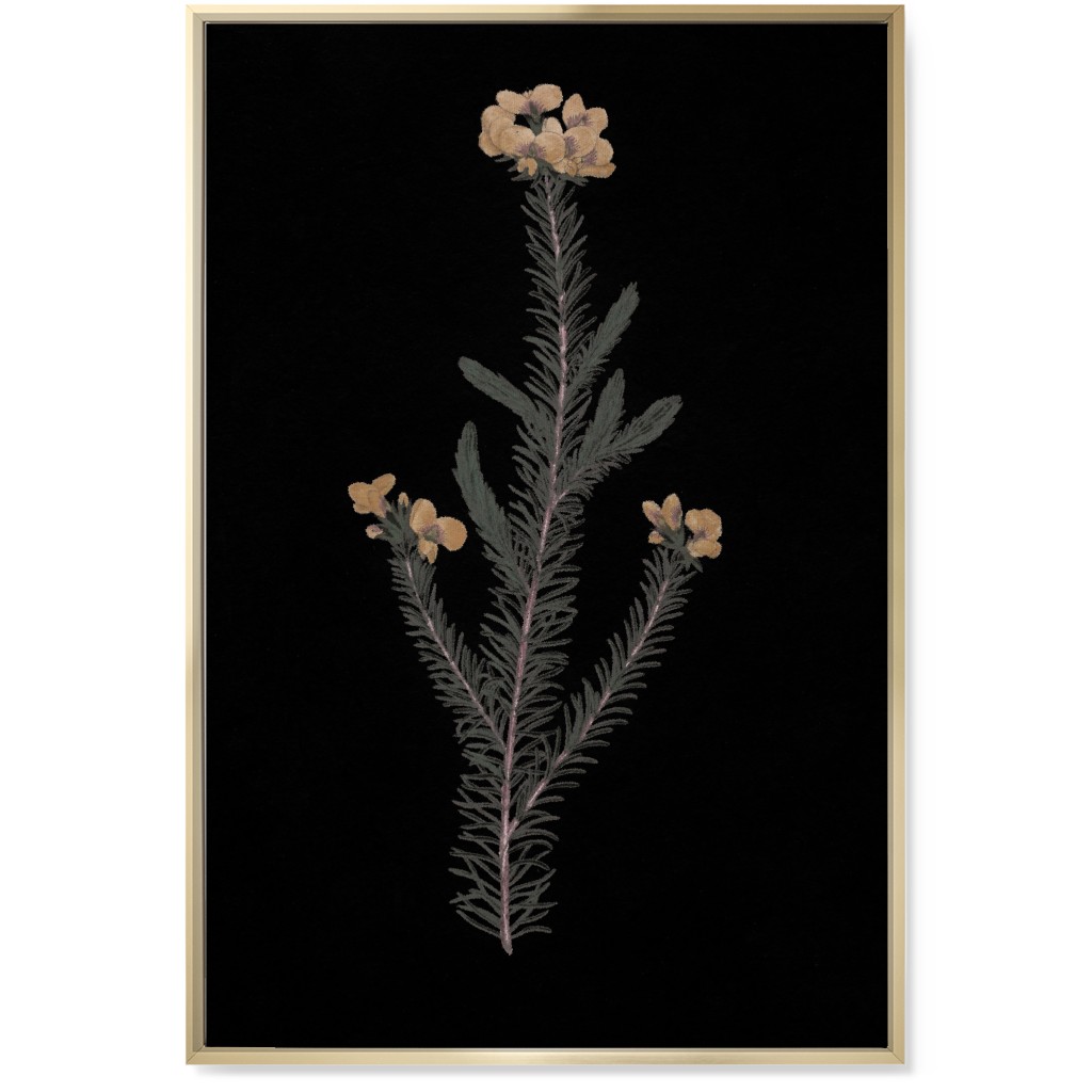 Midnight Botanical - Black and Green Wall Art, Gold, Single piece, Canvas, 24x36, Black, Black