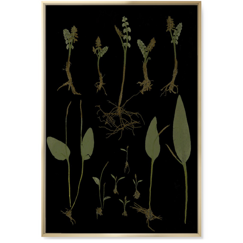 Botanicals At Midnight - Black and Green Wall Art, Gold, Single piece, Canvas, 24x36, Black, Black