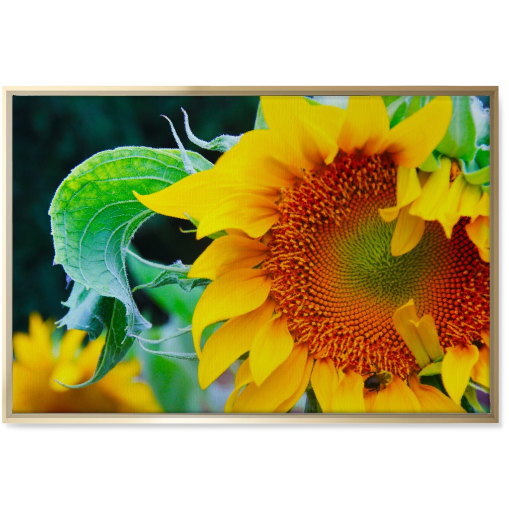 Big Sunflower - Yellow Wall Art, Gold, Single piece, Canvas, 24x36, Yellow