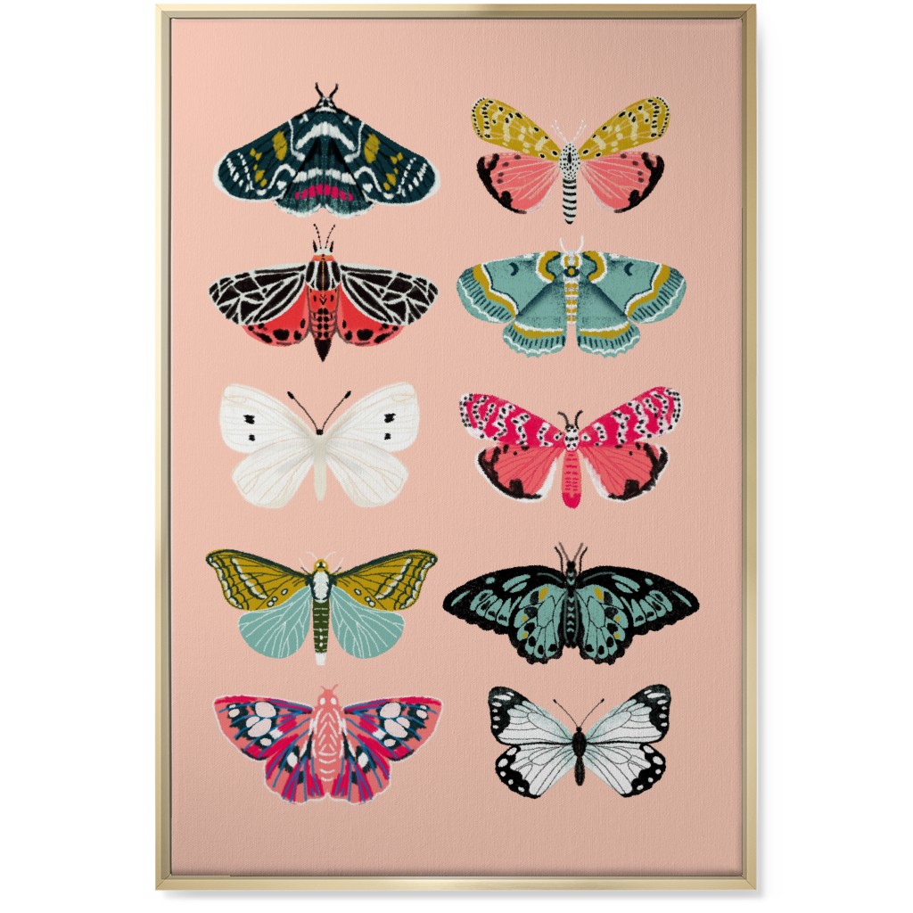 Moths & Butterflies Botanic Nature - Multi on Pink Wall Art, Gold, Single piece, Canvas, 24x36, Multicolor