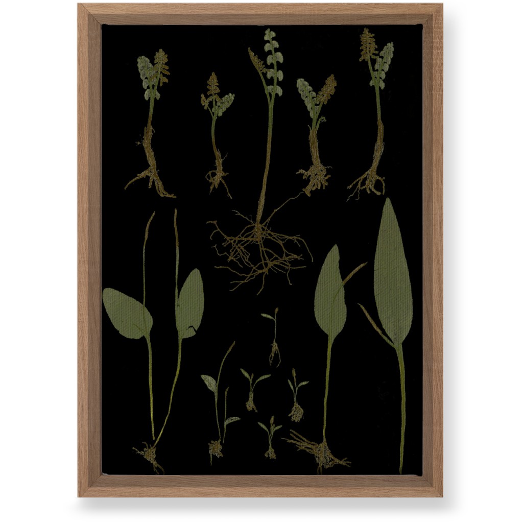 Botanicals At Midnight - Black and Green Wall Art, Natural, Single piece, Canvas, 10x14, Black, Black
