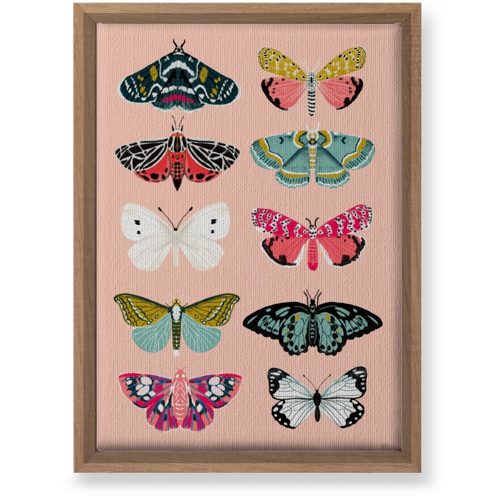 Moths & Butterflies Botanic Nature - Multi on Pink Wall Art, Natural, Single piece, Canvas, 10x14, Multicolor