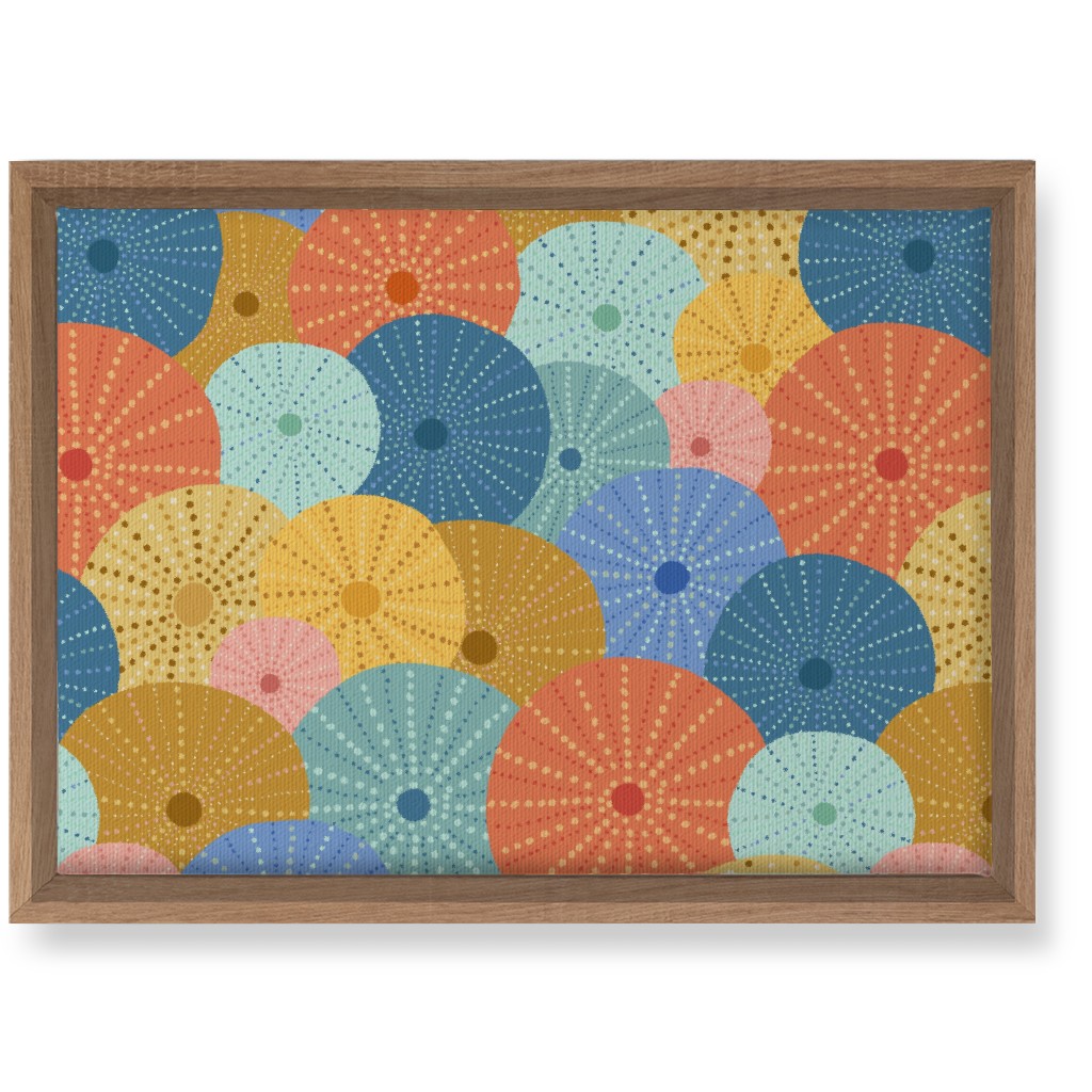 Colorful Sea Urchins Wall Art, Natural, Single piece, Canvas, 10x14, Multicolor