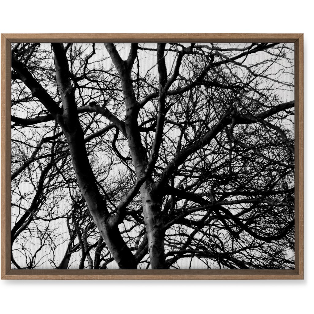 Tree Lace - Neutral Wall Art, Natural, Single piece, Canvas, 16x20, Black, Black