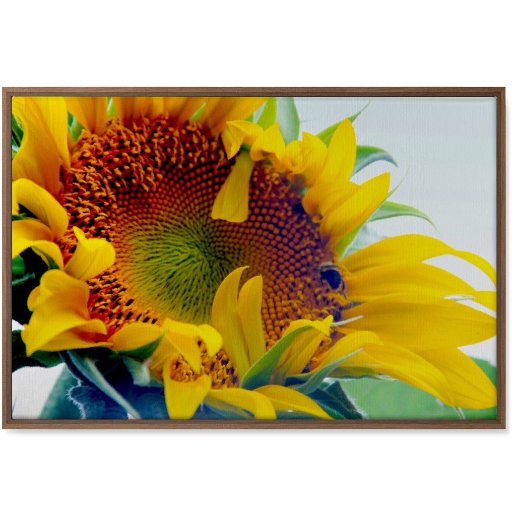 Sunflower and Bee - Yellow Wall Art, Natural, Single piece, Canvas, 24x36, Yellow