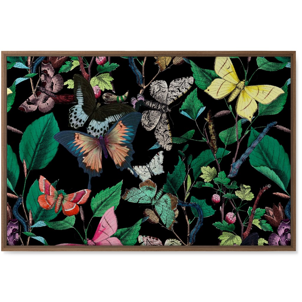 Butterfly Sanctuary - Bright on Black Wall Art, Natural, Single piece, Canvas, 24x36, Multicolor