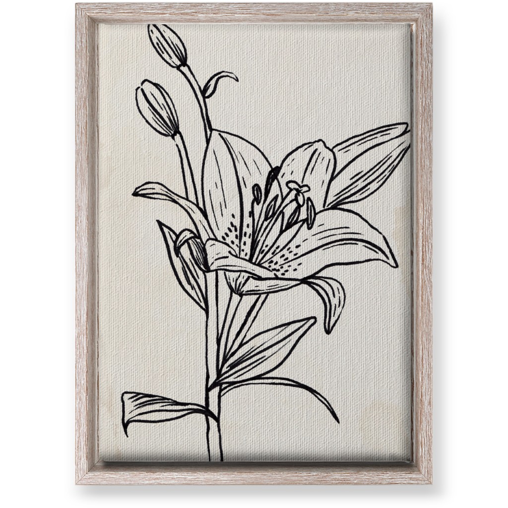 Vintage Lily Sketch - Beige and Black Wall Art, Rustic, Single piece, Canvas, 10x14, Beige, Pearl