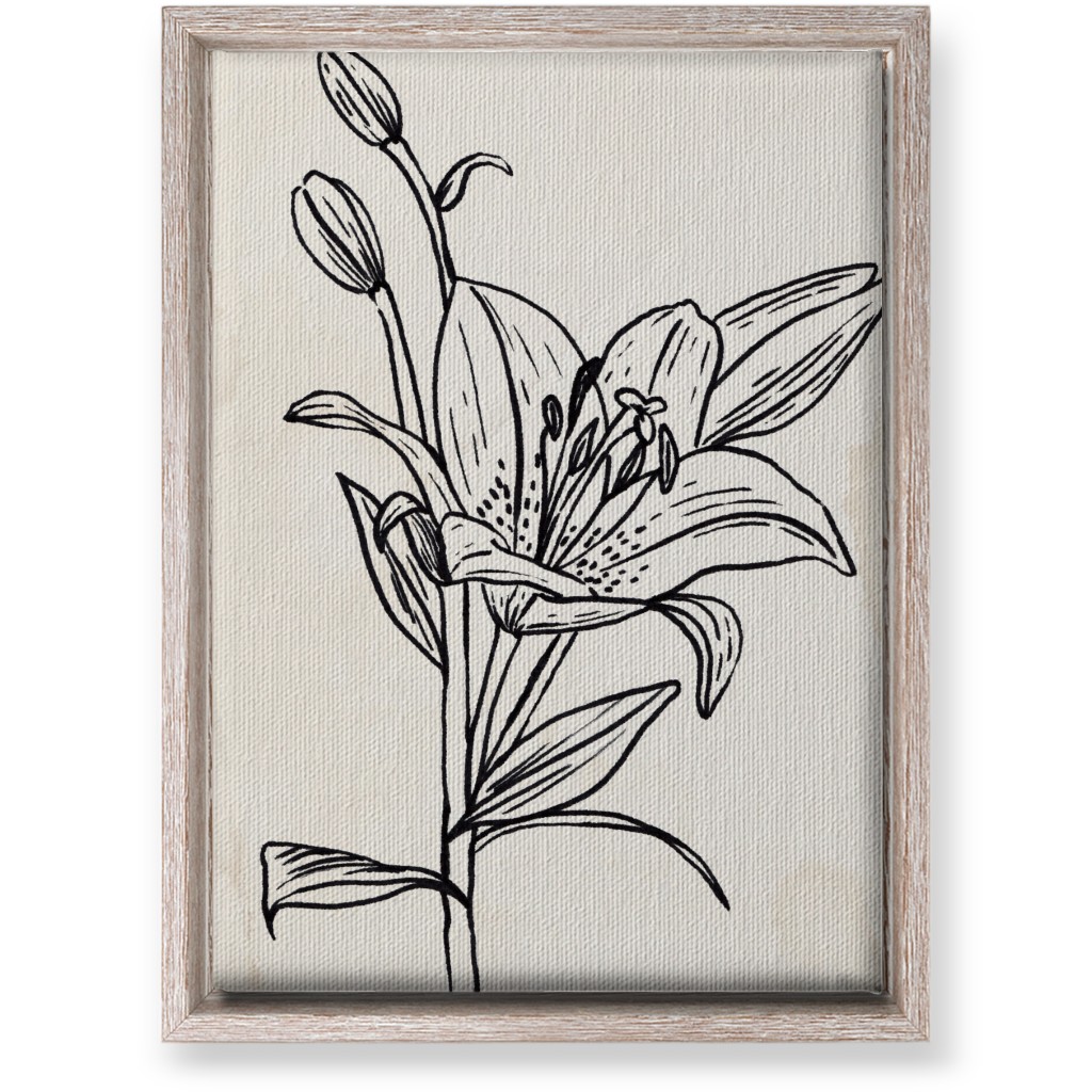 Vintage Lily Sketch - Beige and Black Wall Art, Rustic, Single piece, Canvas, 10x14, Beige