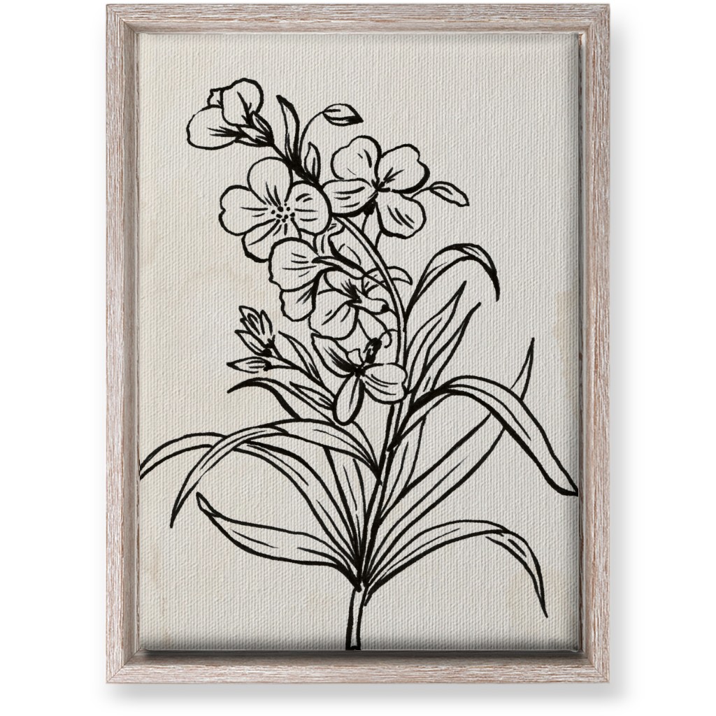 Vintage Wallflower Sketch - Beige and Black Wall Art, Rustic, Single piece, Canvas, 10x14, Beige