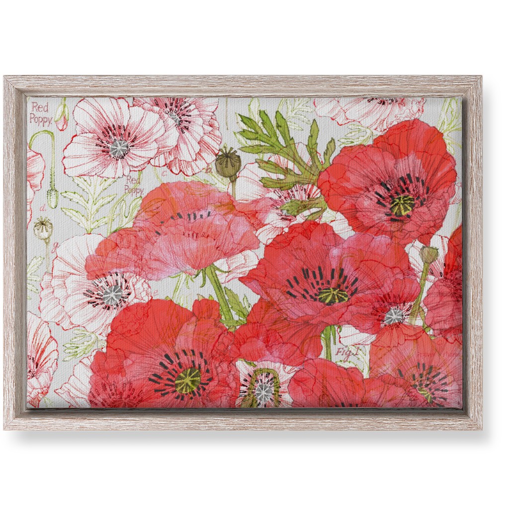 Poppies Romance - Red Wall Art, Rustic, Single piece, Canvas, 10x14, Red