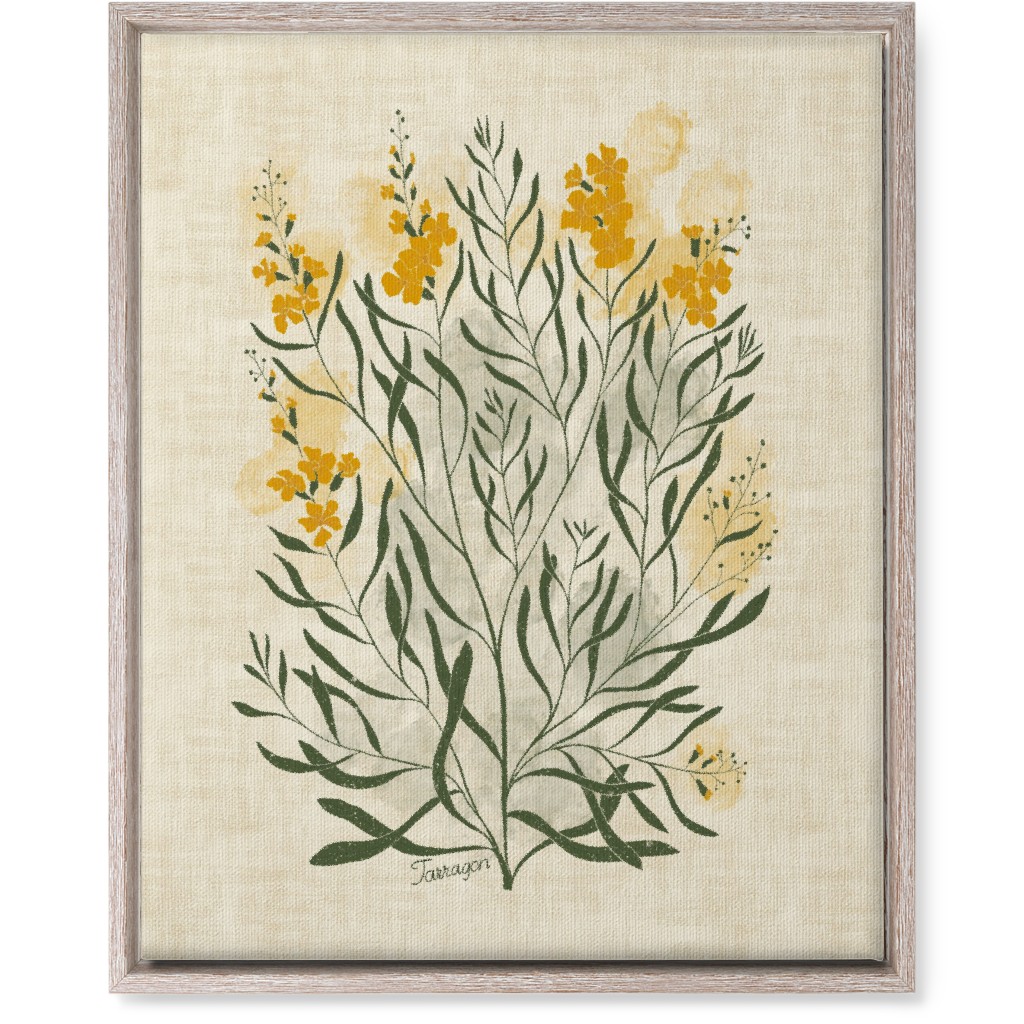 Tarragon - Botanical Illustration Wall Art, Rustic, Single piece, Canvas, 16x20, Beige