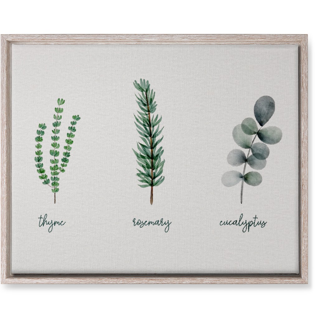 Watercolor Botanicals - Green Wall Art, Rustic, Single piece, Canvas, 16x20, Green, Classic Green