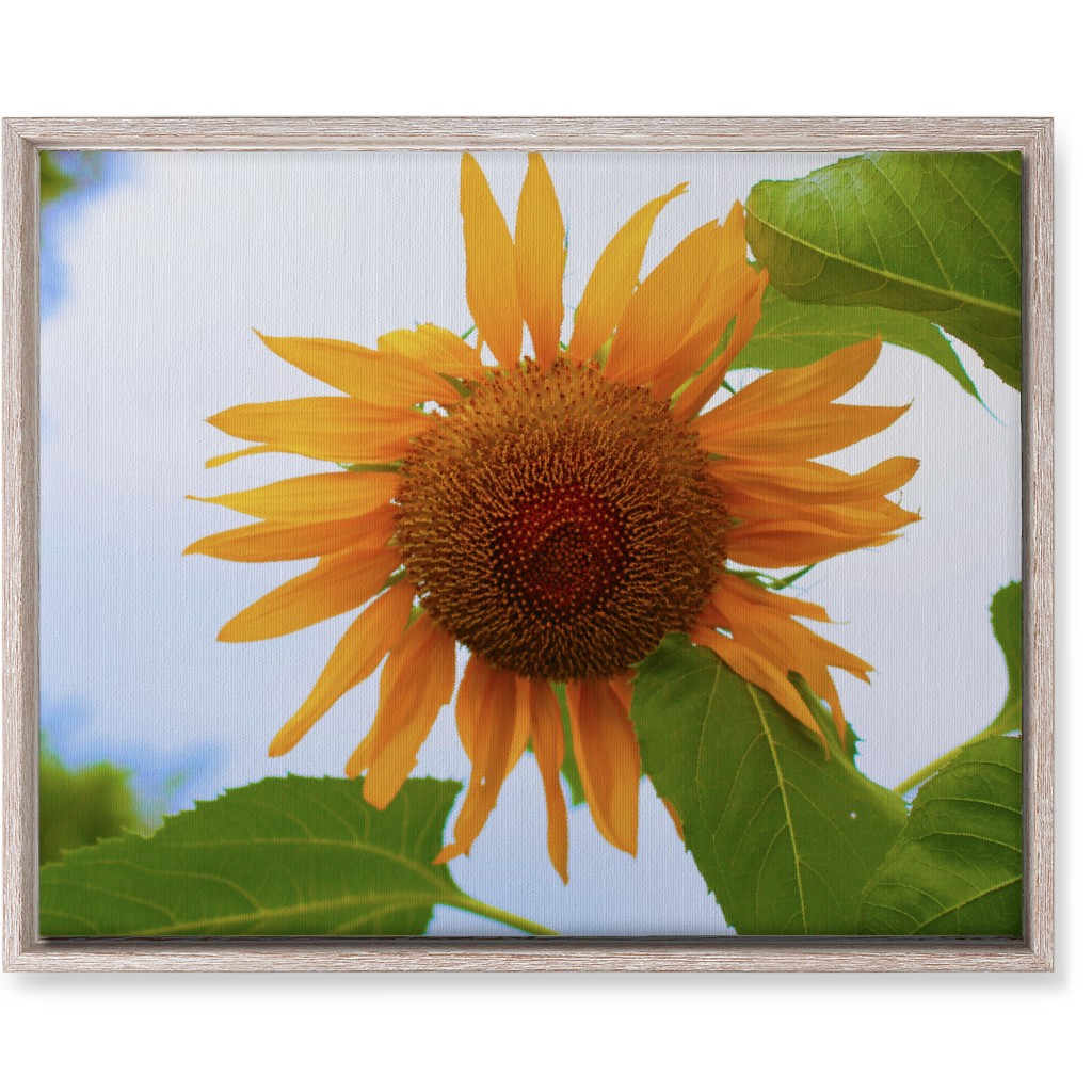 Sunny Sunflower - Yellow Wall Art, Rustic, Single piece, Canvas, 16x20, Yellow