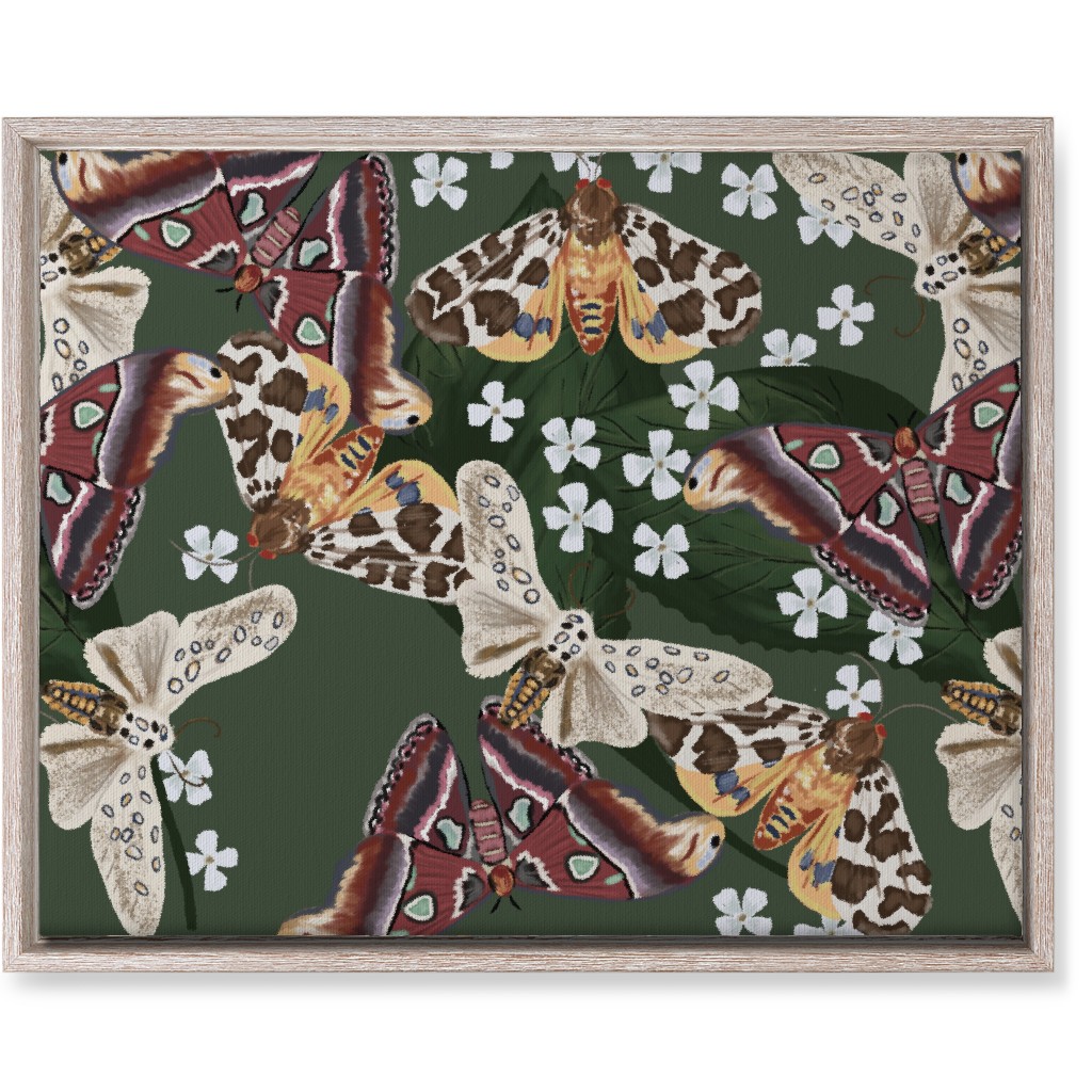 Moth Frenzy - Multi Wall Art, Rustic, Single piece, Canvas, 16x20, Multicolor