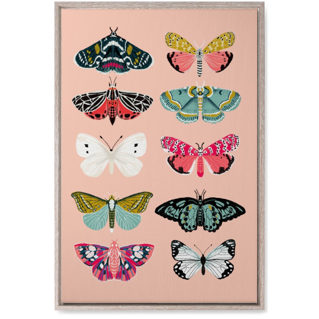 Moths & Butterflies Botanic Nature - Multi on Pink Wall Art, Rustic, Single piece, Canvas, 20x30, Multicolor