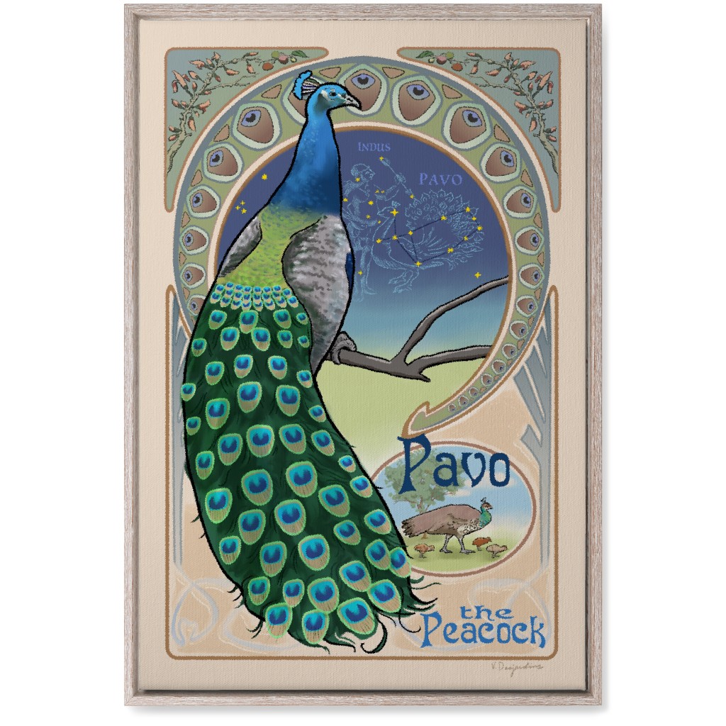 Pavo the Peacock Wall Art, Rustic, Single piece, Canvas, 20x30, Multicolor
