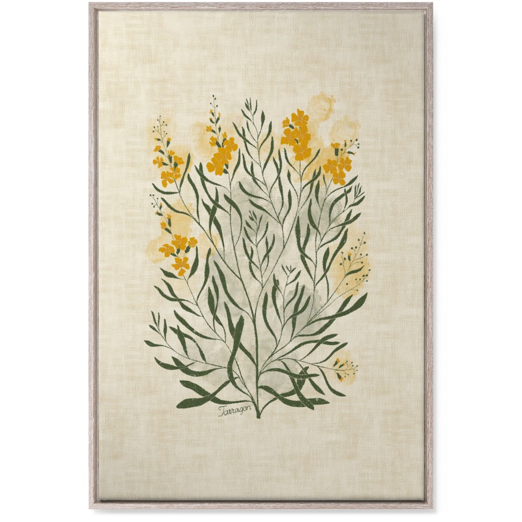 Tarragon - Botanical Illustration Wall Art, Rustic, Single piece, Canvas, 24x36, Beige, Pearl