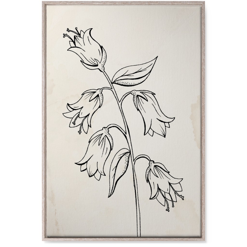 Vintage Bell Flower Sketch - Beige and Black Wall Art, Rustic, Single piece, Canvas, 24x36, Beige