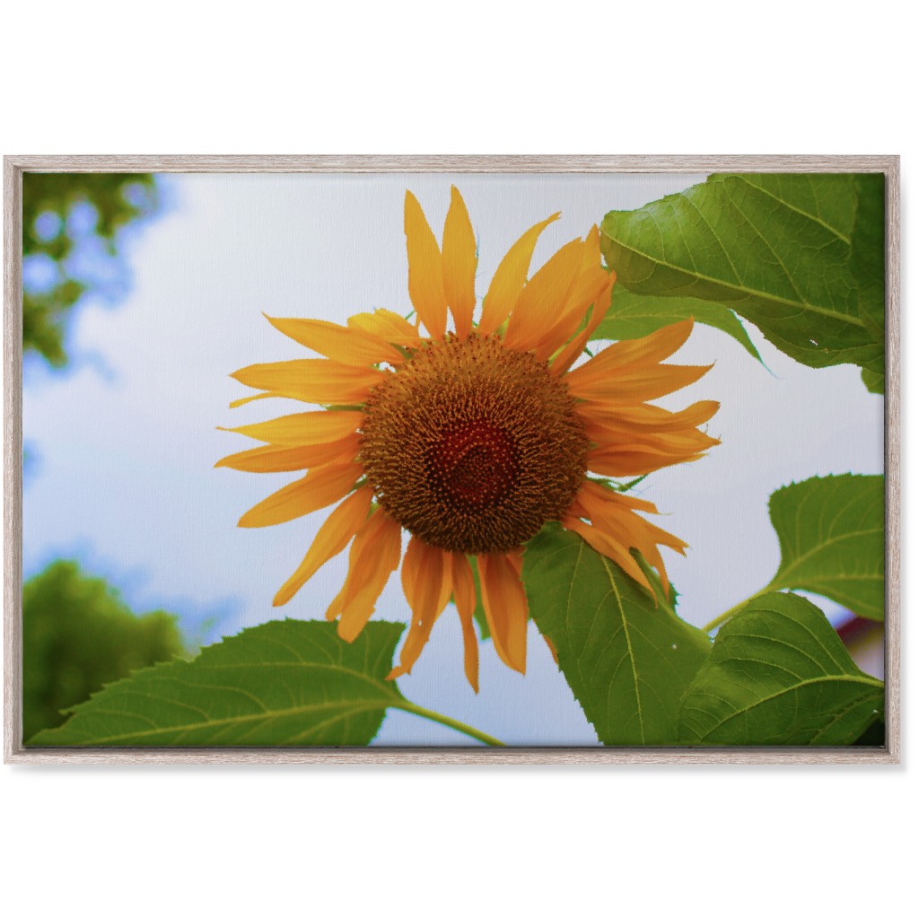 Sunny Sunflower - Yellow Wall Art, Rustic, Single piece, Canvas, 24x36, Yellow