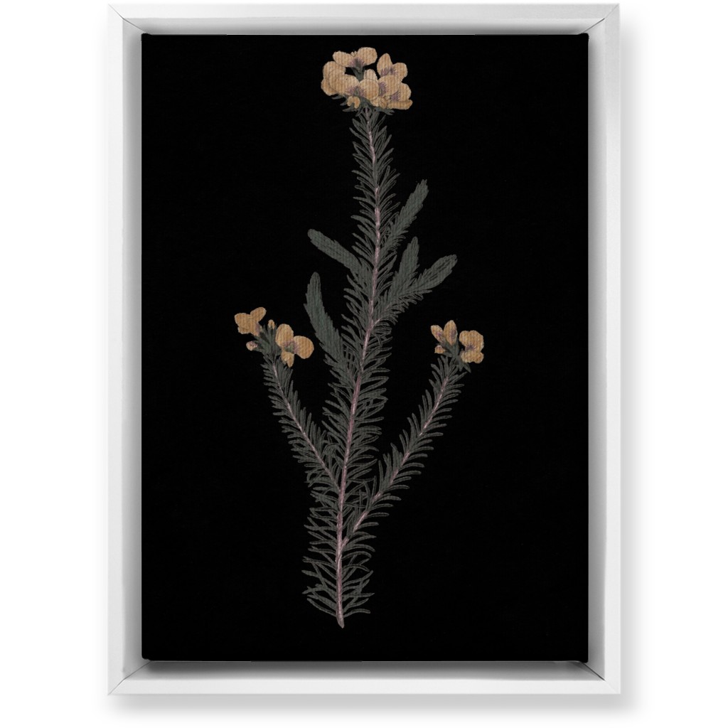 Midnight Botanical - Black and Green Wall Art, White, Single piece, Canvas, 10x14, Black