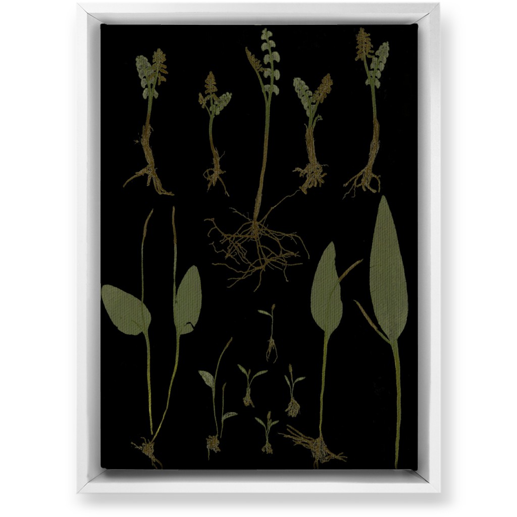 Botanicals At Midnight - Black and Green Wall Art, White, Single piece, Canvas, 10x14, Black