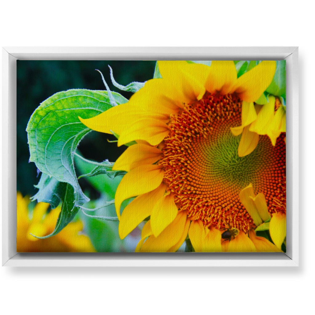 Big Sunflower - Yellow Wall Art, White, Single piece, Canvas, 10x14, Yellow