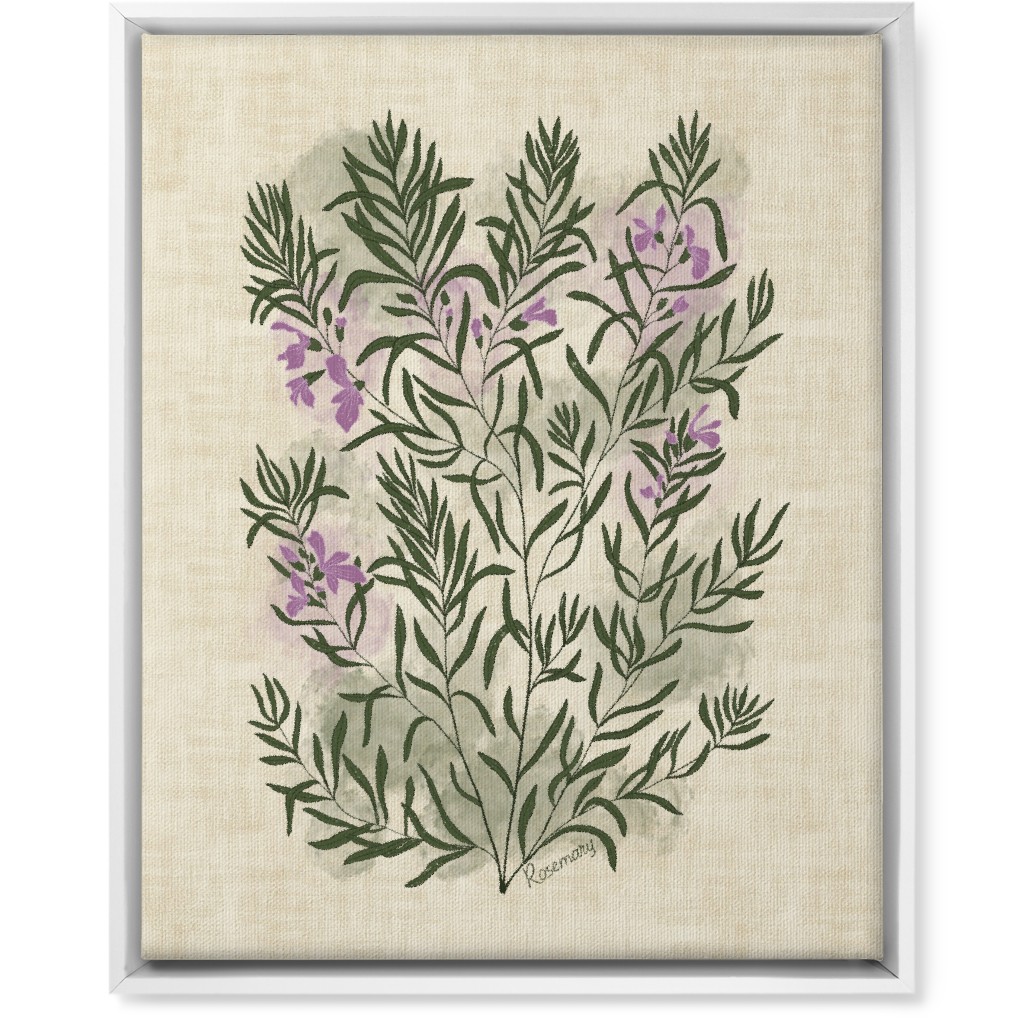 Rosemary - Botanical Illustration Wall Art, White, Single piece, Canvas, 16x20, Beige