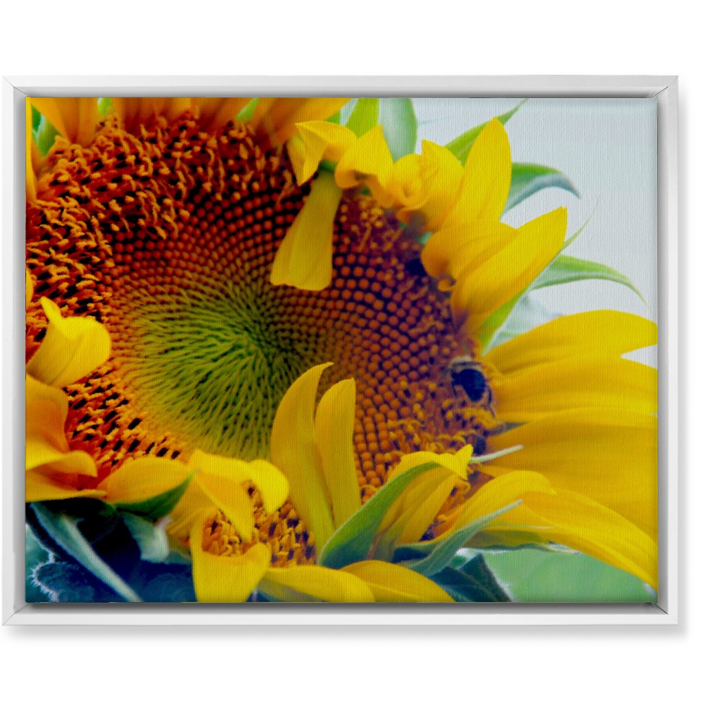 Sunflower and Bee - Yellow Wall Art, White, Single piece, Canvas, 16x20, Yellow, Classic Yellow