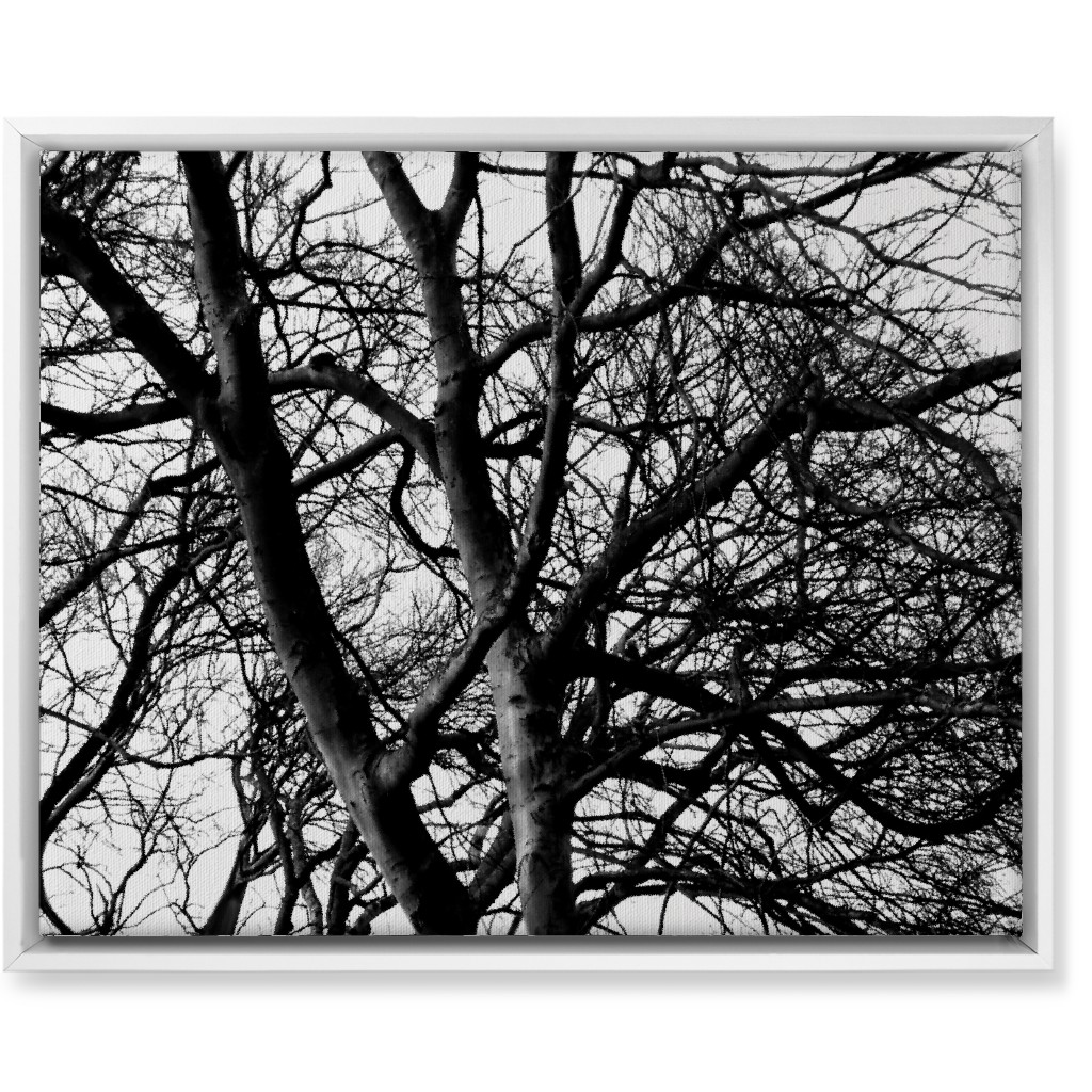 Tree Lace - Neutral Wall Art, White, Single piece, Canvas, 16x20, Black
