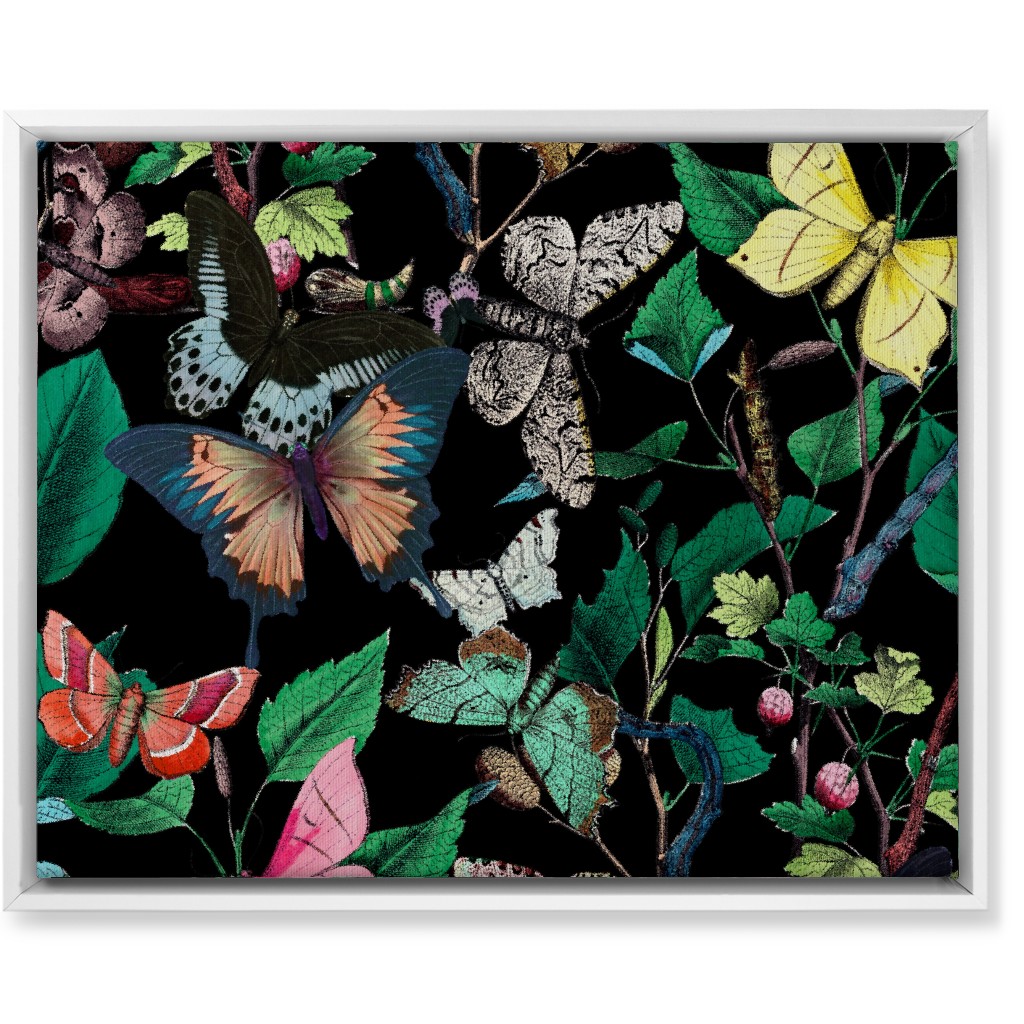 Butterfly Sanctuary - Bright on Black Wall Art, White, Single piece, Canvas, 16x20, Multicolor