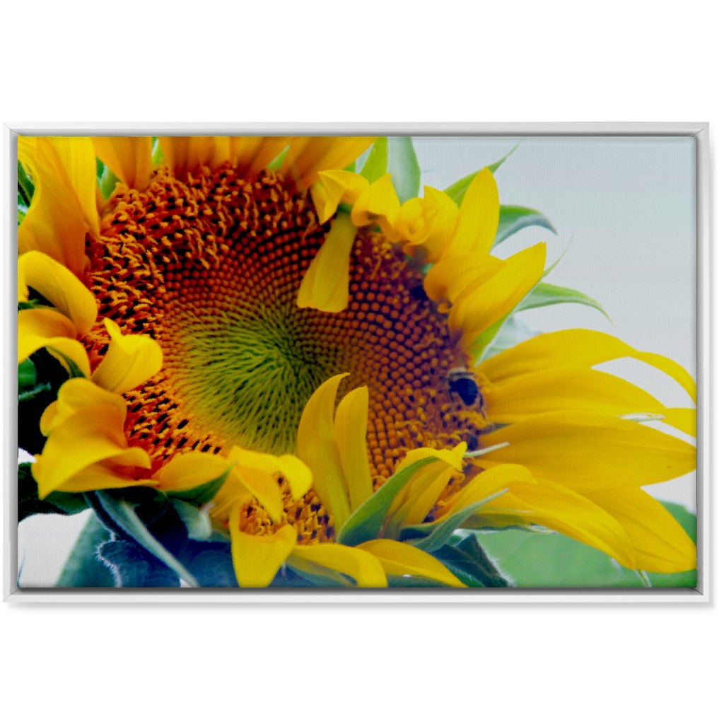 Sunflower and Bee - Yellow Wall Art, White, Single piece, Canvas, 24x36, Yellow