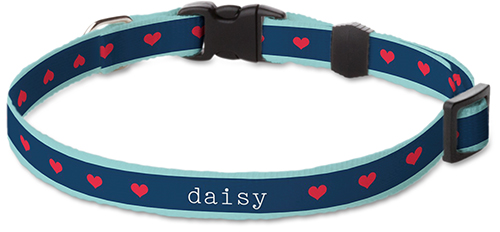 Shutterfly on sale dog collars