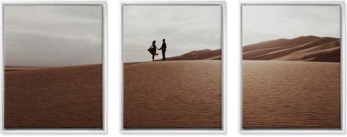 Three Across 16x20 Spread Canvas Prints, White, Multi piece, Multicolor, Multi