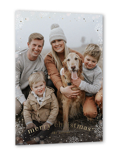 Snowfall Surroundings Holiday Card, White, Gold Foil, 5x7, Christmas, Matte, Personalized Foil Cardstock, Square, White