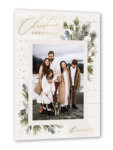 Foil Snow Frame Holiday Card, White, Gold Foil, 5x7, Christmas, Matte, Personalized Foil Cardstock, Square