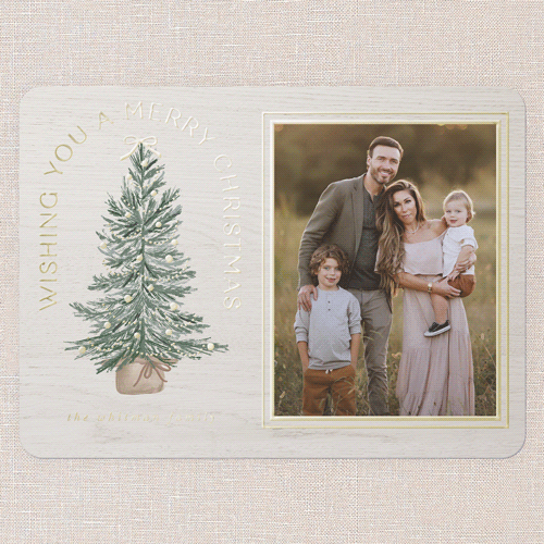 Small Sapling Holiday Card, White, Gold Foil, 6x8, Christmas, Matte, Personalized Foil Cardstock, Rounded, White