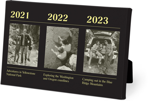 Timeline of Life Easel Back Canvas, 5x7, No Frame, Easel Back Canvas, Gray, charcoal