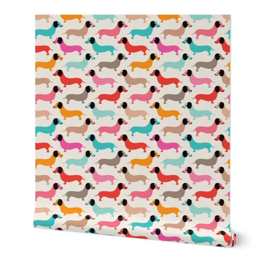 Vintage Dachshund Illustration - Multi Wallpaper | Shutterfly