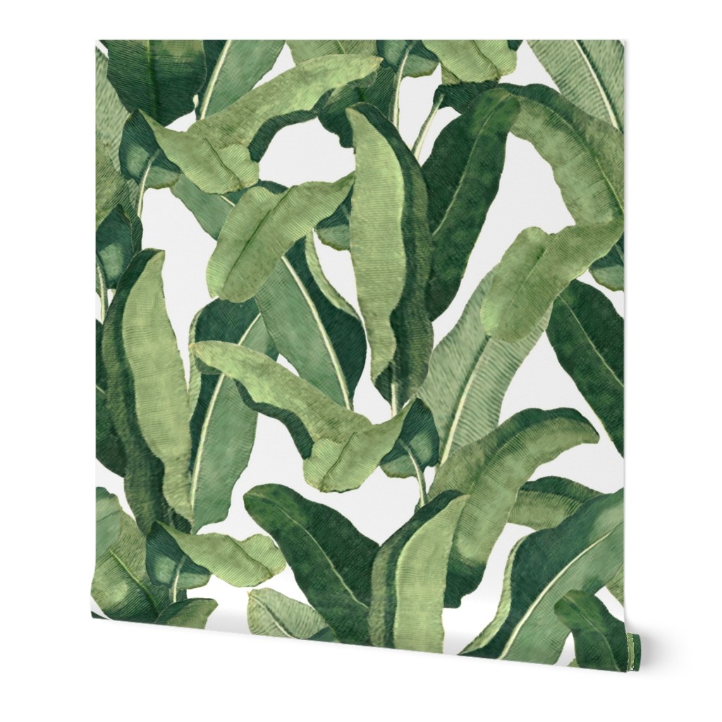 Tropical Leaves - Greens on White Wallpaper, 2'x9', Prepasted Removable Smooth, Green
