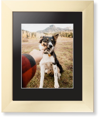 Pet Photo Gallery Framed Print, Matte Gold, Contemporary, White, Black, Single piece, 8x10, Multicolor, multi