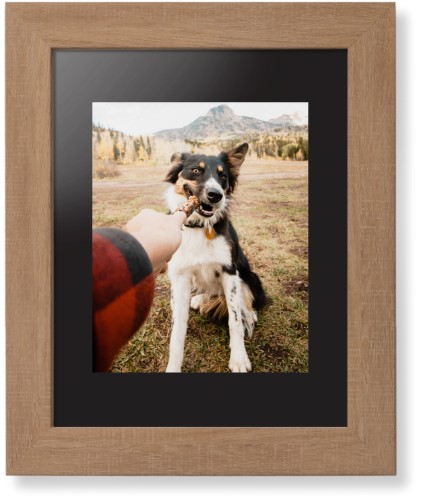 Pet Photo Gallery Framed Print, Natural, Contemporary, None, Black, Single piece, 8x10, Multicolor