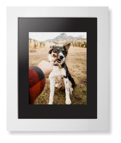 Pet Photo Gallery Framed Print, White, Contemporary, Black, Black, Single piece, 8x10, Multicolor, multi
