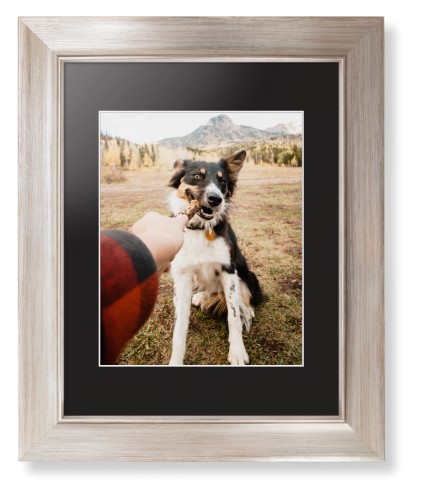 Pet Photo Gallery Framed Print, Metallic, Modern, White, Black, Single piece, 8x10, Multicolor