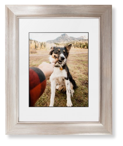 Pet Photo Gallery Framed Print, Metallic, Modern, Black, White, Single piece, 8x10, Multicolor