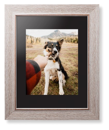 Pet Photo Gallery Framed Print, Rustic, Modern, None, Black, Single piece, 8x10, Multicolor