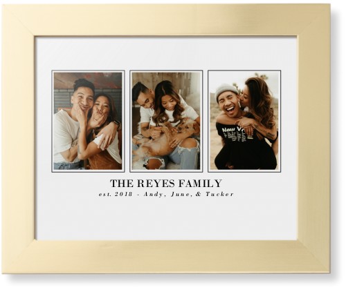 Classic Trio Framed Print, Matte Gold, Contemporary, None, None, Single piece, 11x14, White, white