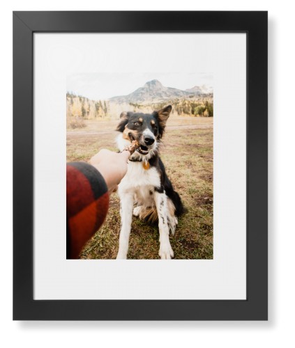 Pet Photo Gallery Framed Print, Black, Contemporary, None, White, Single piece, 11x14, Multicolor, multi