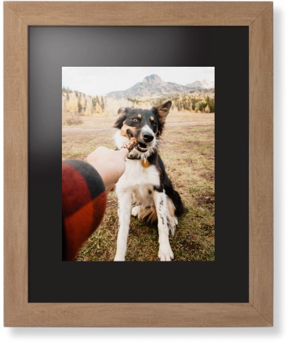 Pet Photo Gallery Framed Print, Natural, Contemporary, Black, Black, Single piece, 11x14, Multicolor, multi